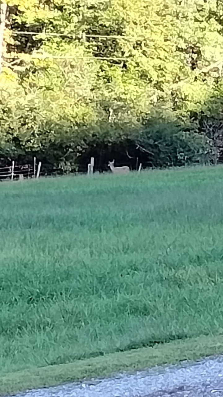 IMG_20230904_182819620.jpg