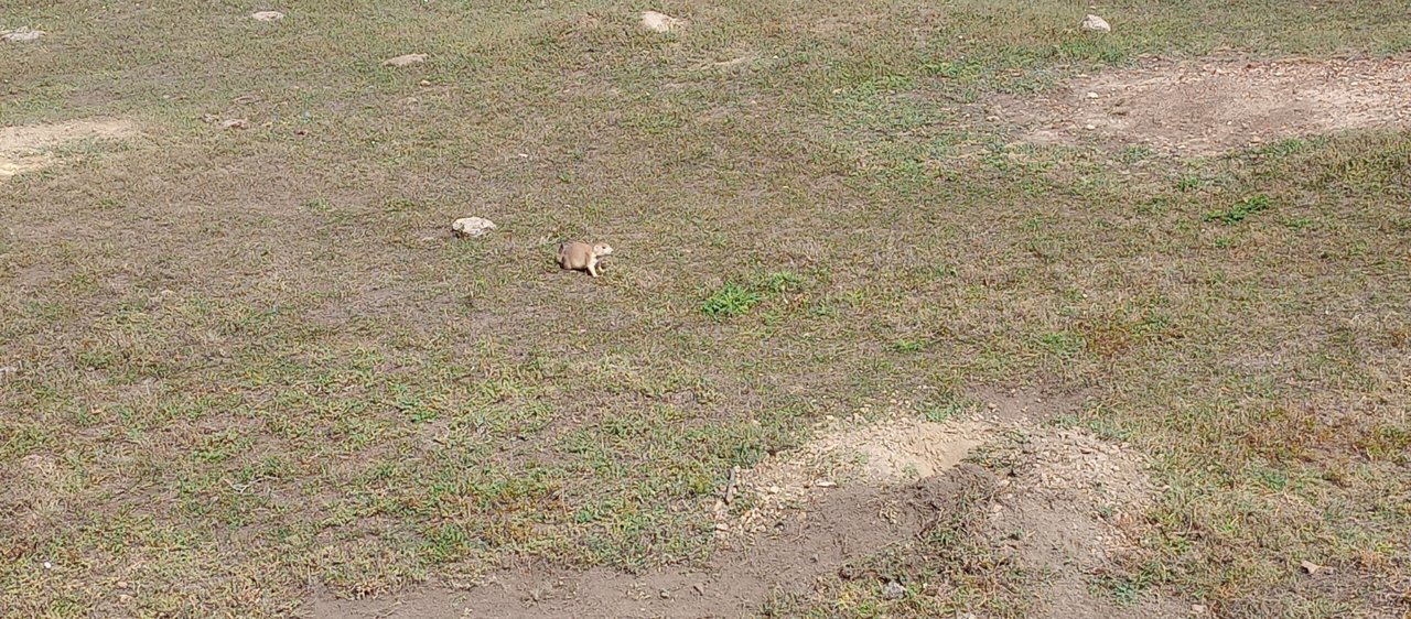 IMG_20230909_124541960.jpg