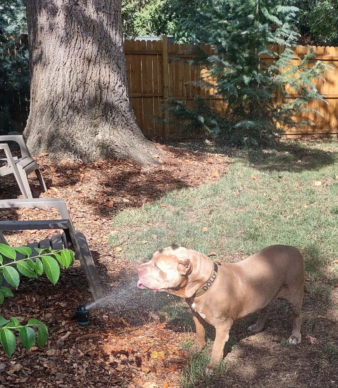 IMG_20230925_160615661_HDR.jpg