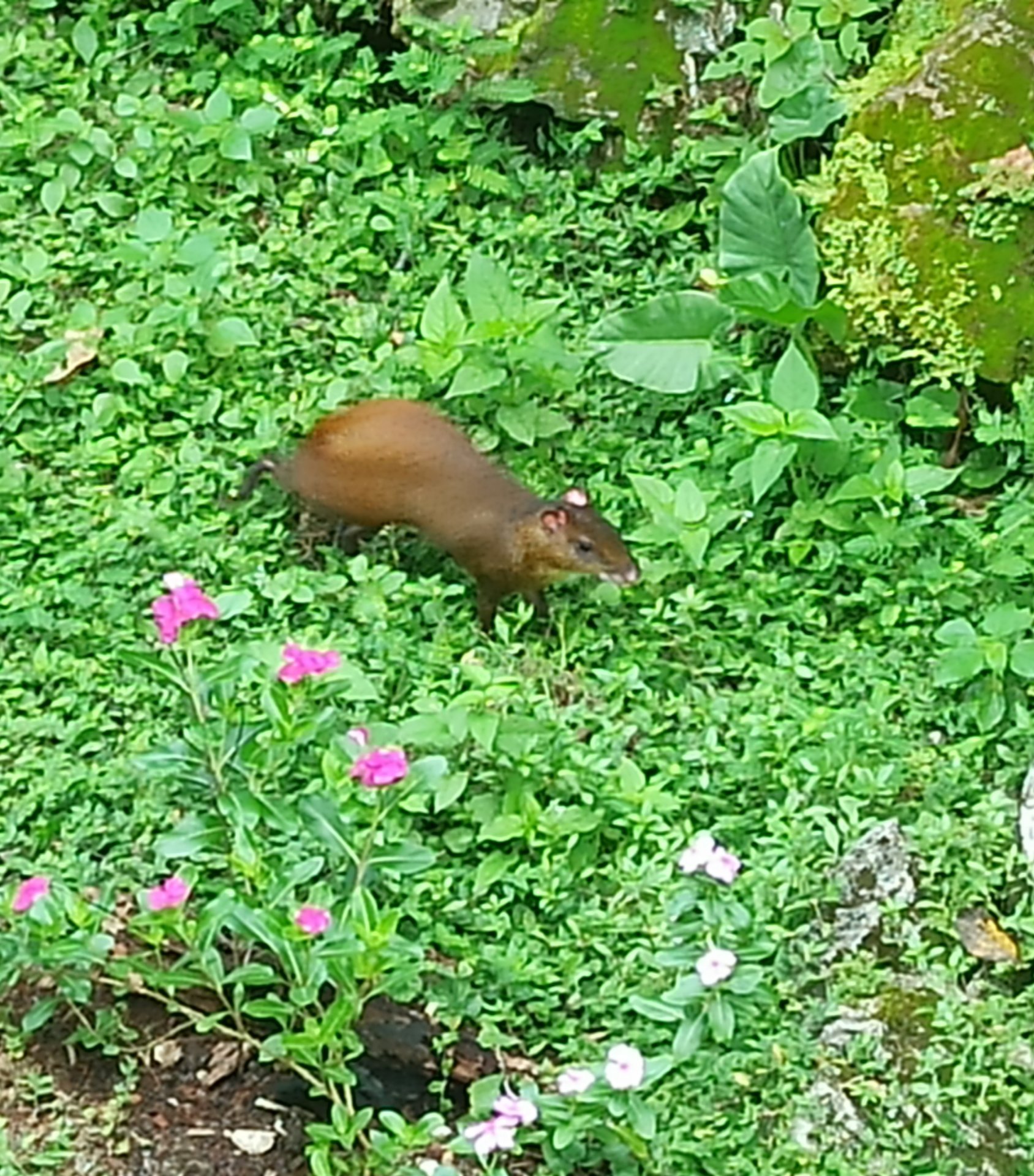 IMG_20231003_071758.jpg