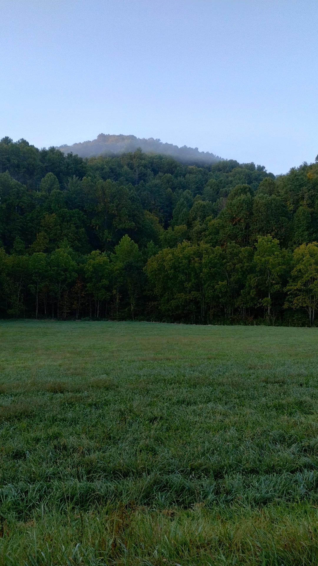 IMG_20231003_074100060_HDR.jpg