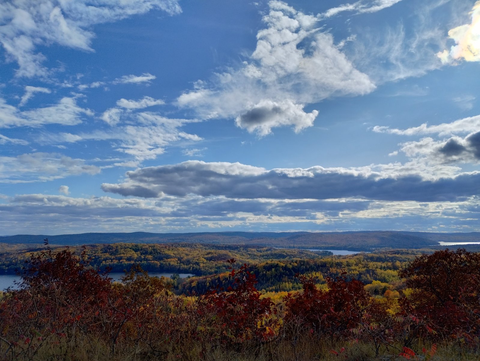 IMG_20231007_161041471_HDR.jpg