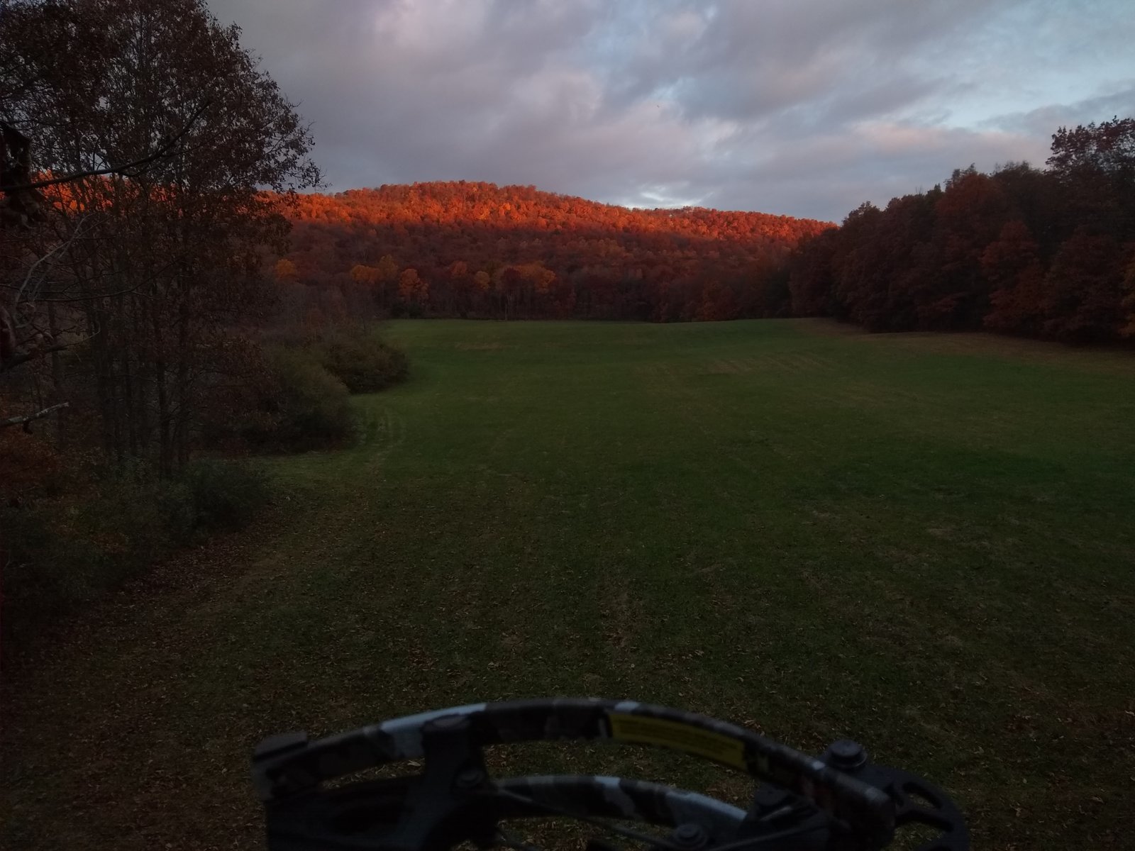 IMG_20231028_075334663[1].jpg
