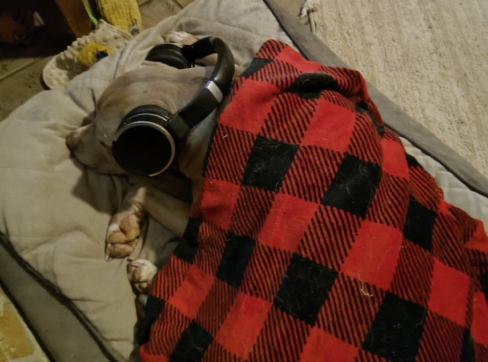 IMG_20231231_202013875.jpg