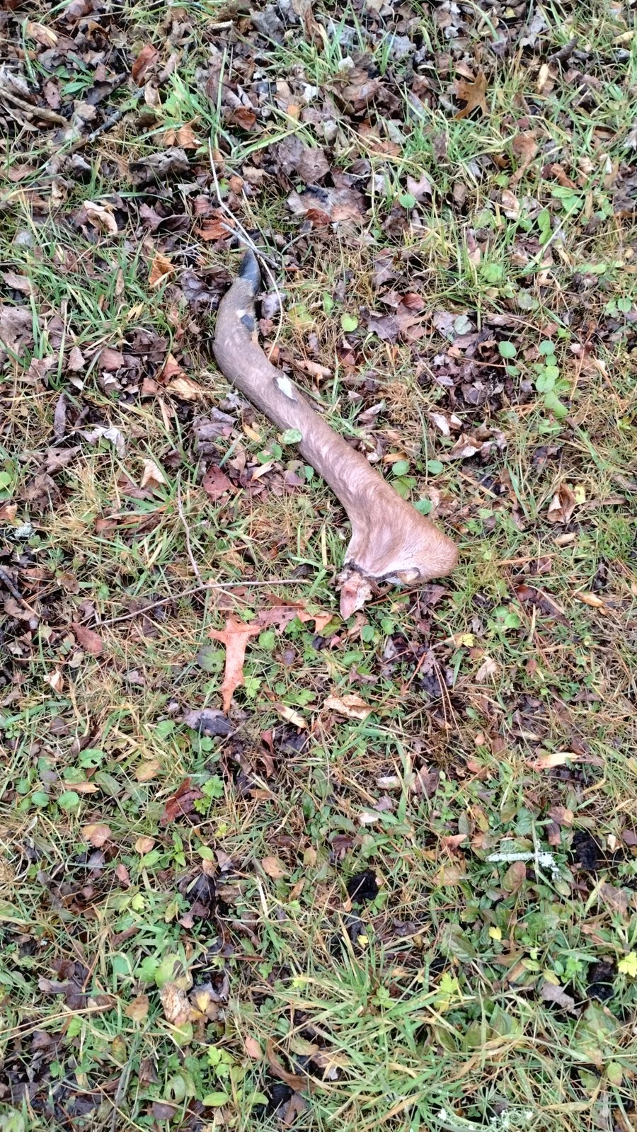 IMG_20240106_130651205_HDR.jpg
