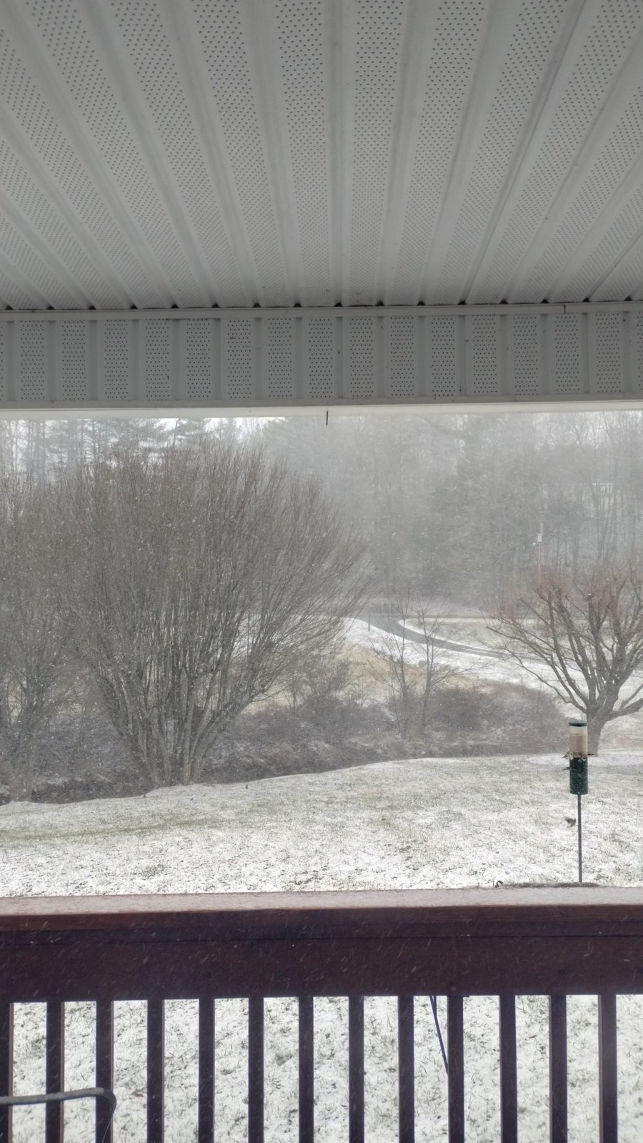 IMG_20240119_113611198_HDR.jpg