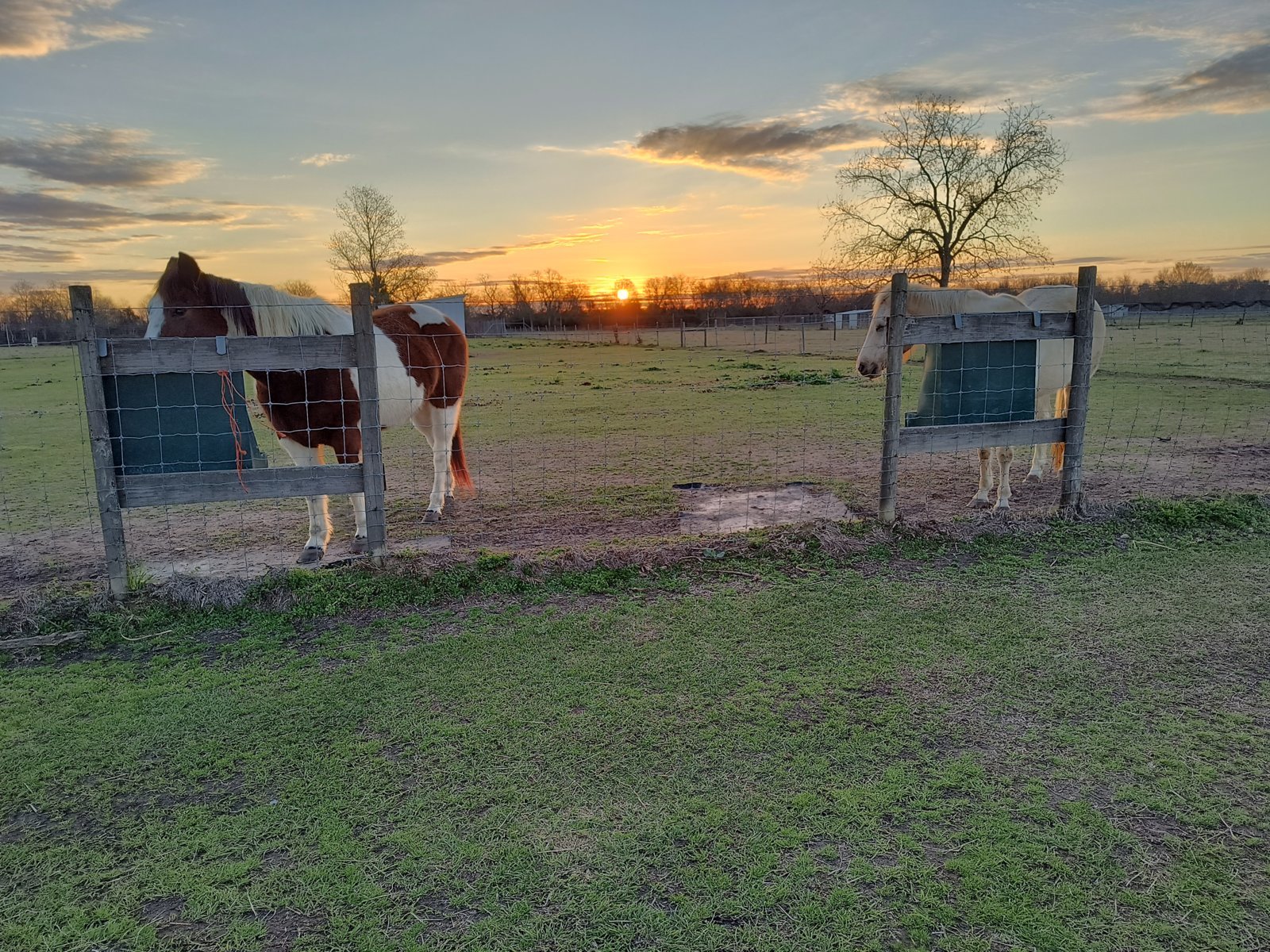 IMG_20240218_071014303_HDR.jpg