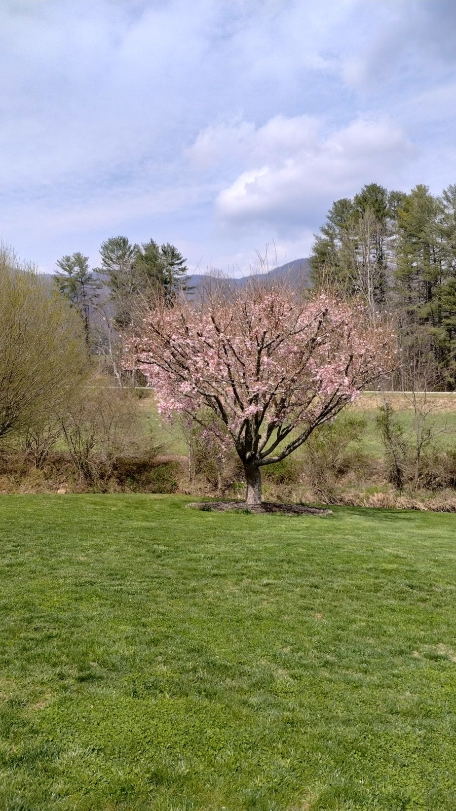 IMG_20240322_133204169_HDR.jpg
