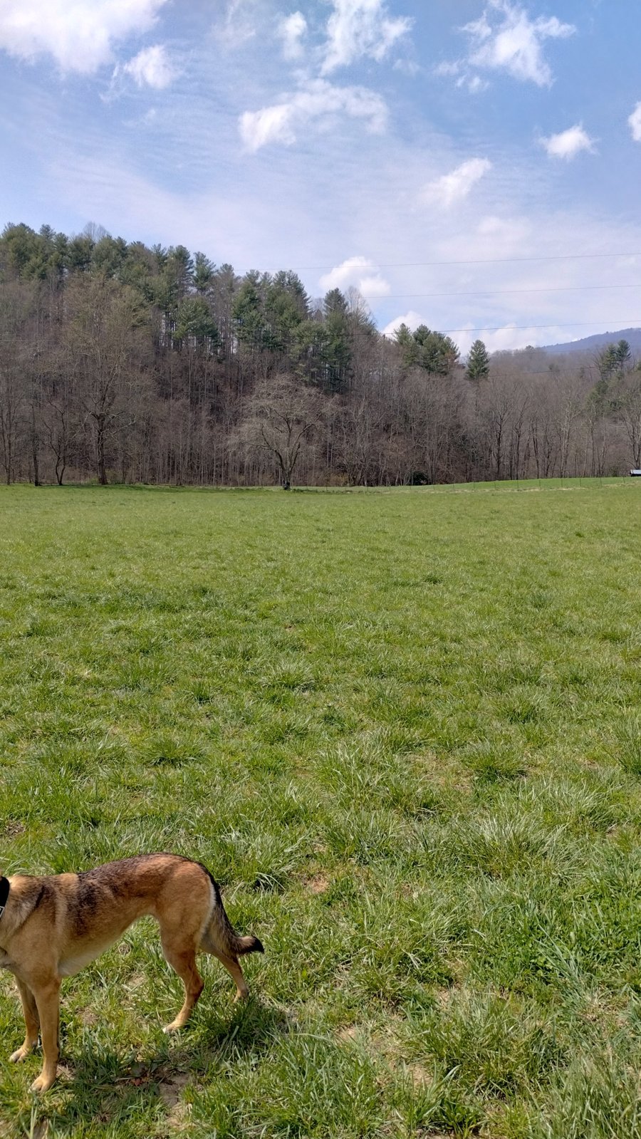 IMG_20240322_133638374_HDR.jpg