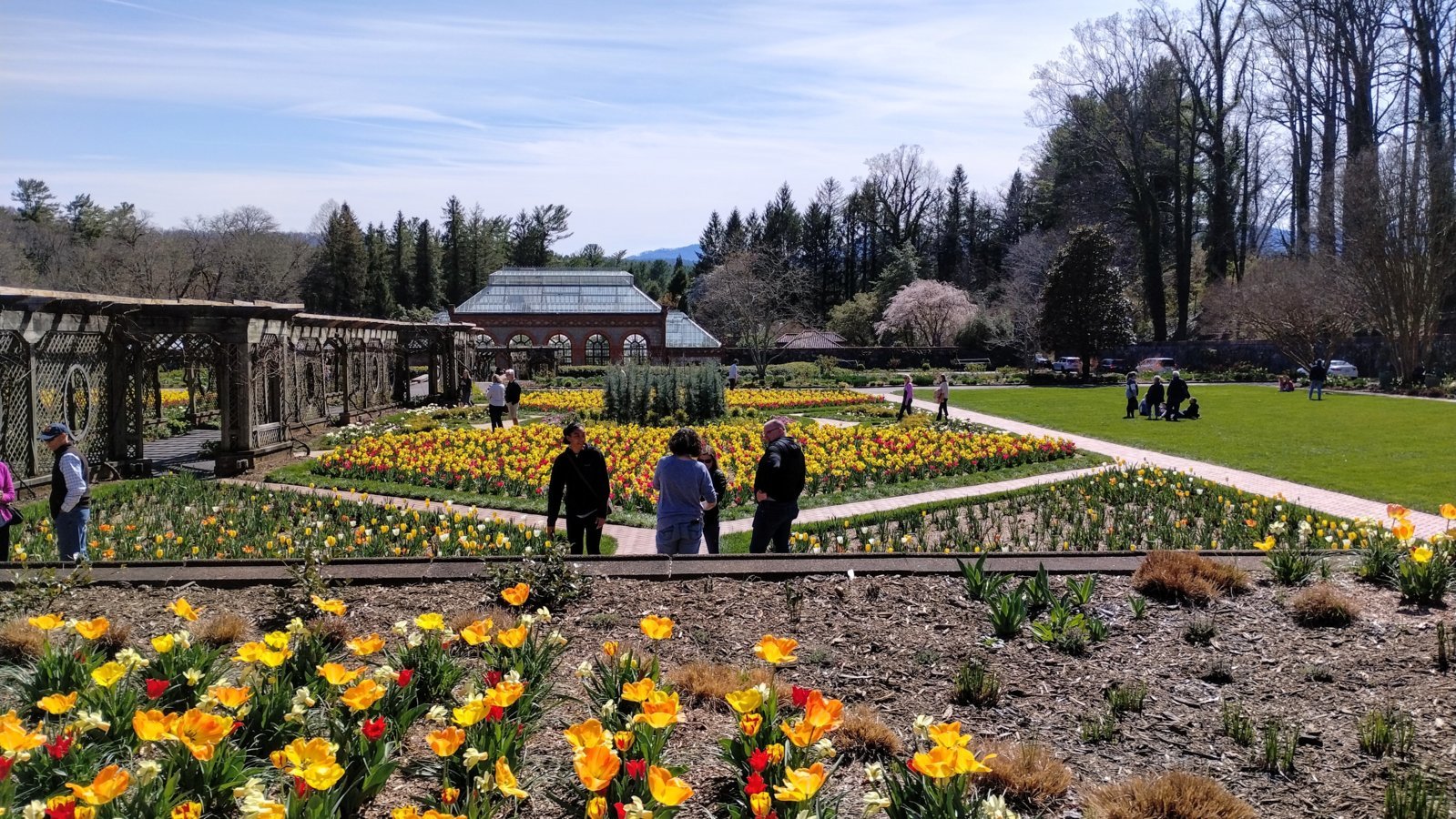 IMG_20240324_151937178_HDR~2.jpg