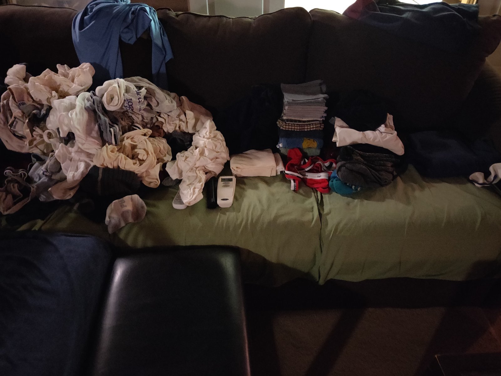 IMG_20240404_131430.jpg