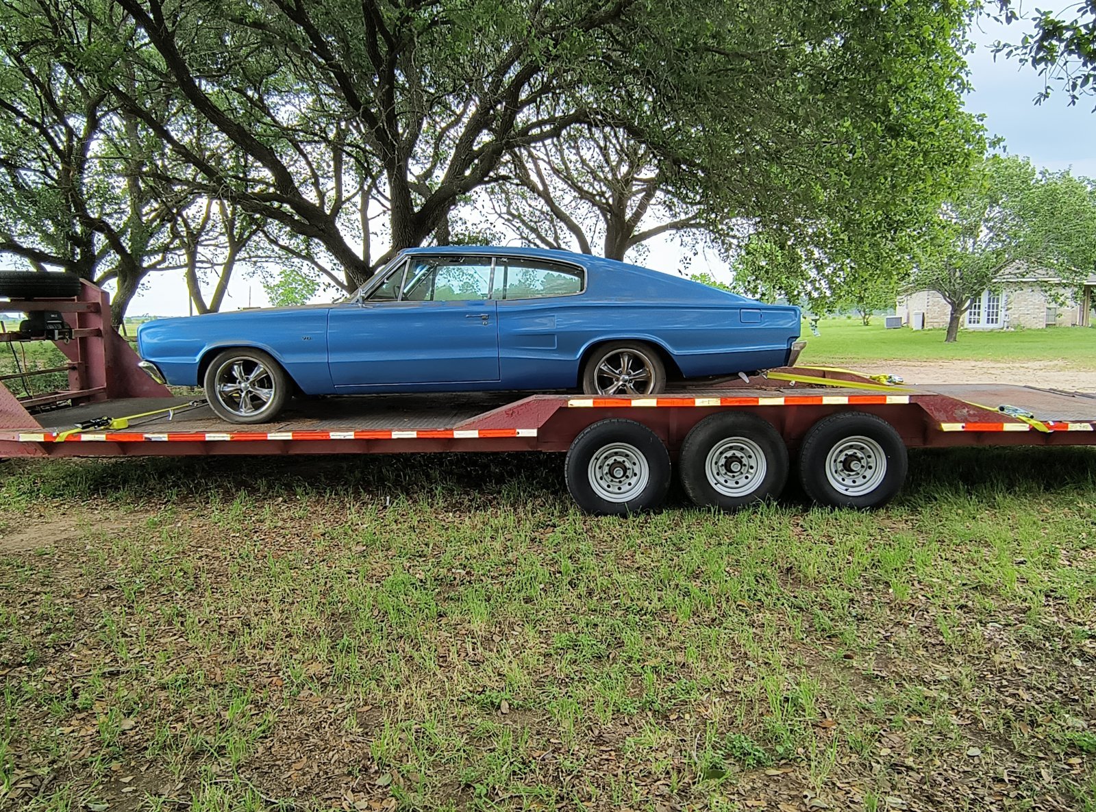 IMG_20240425_145935053.jpg