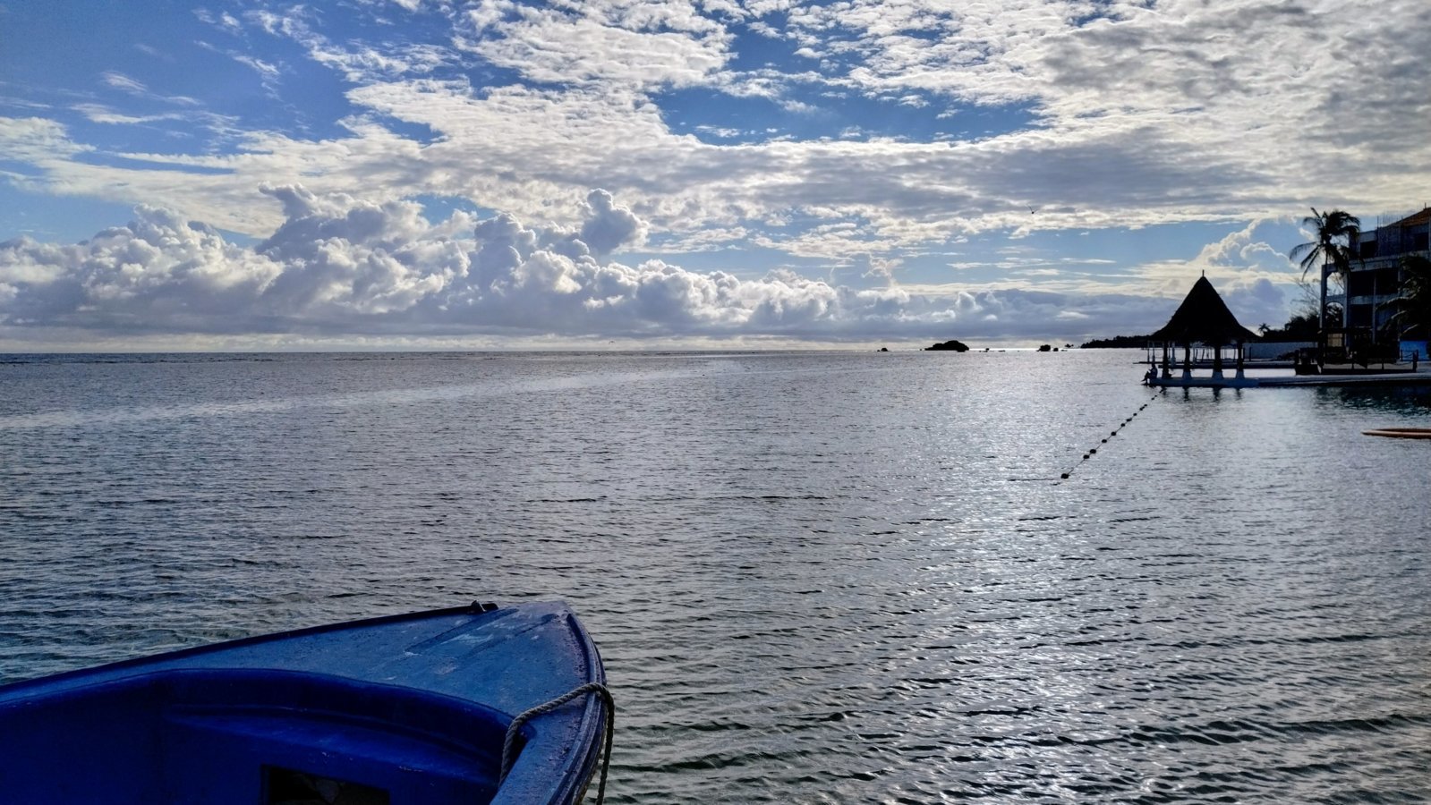 IMG_20240502_072441345_HDR~2.jpg