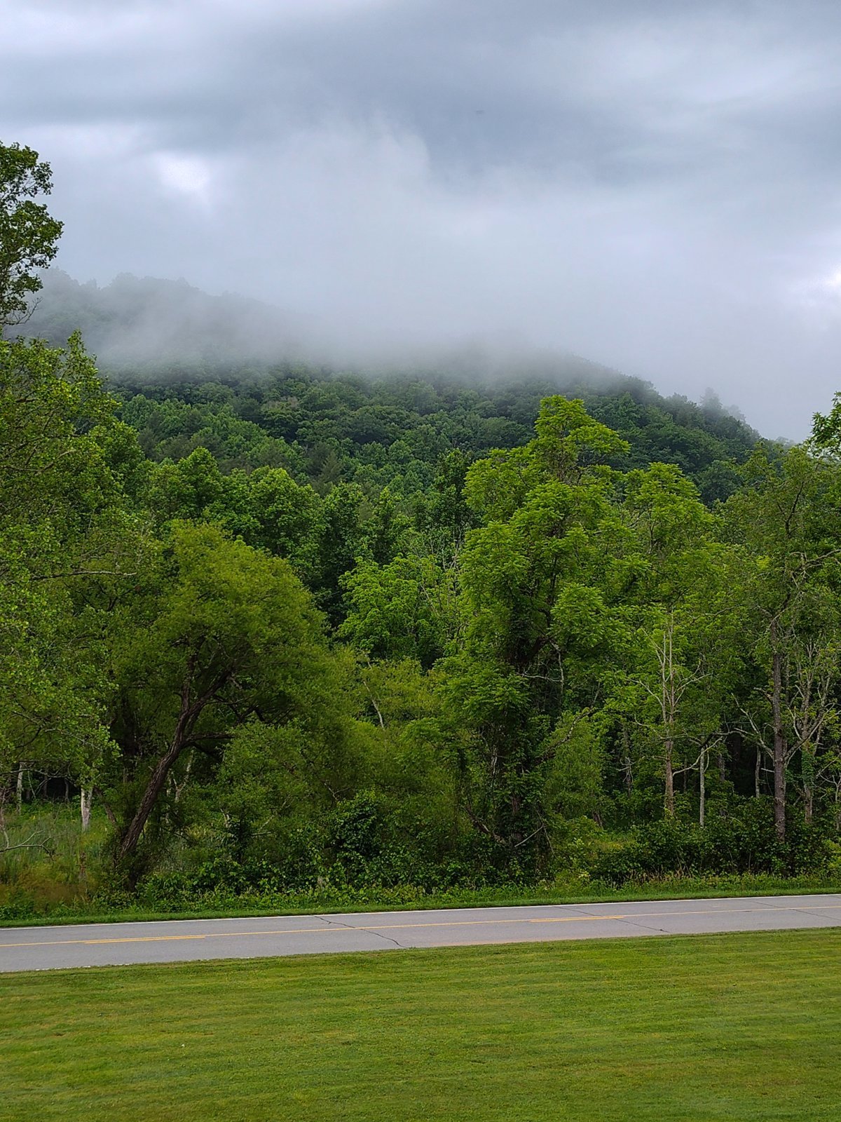 IMG_20240605_082648825_HDR.jpg