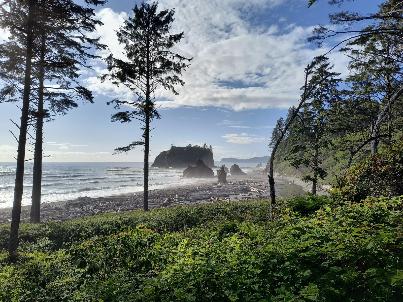 IMG_20240614_182535291_HDR.jpg