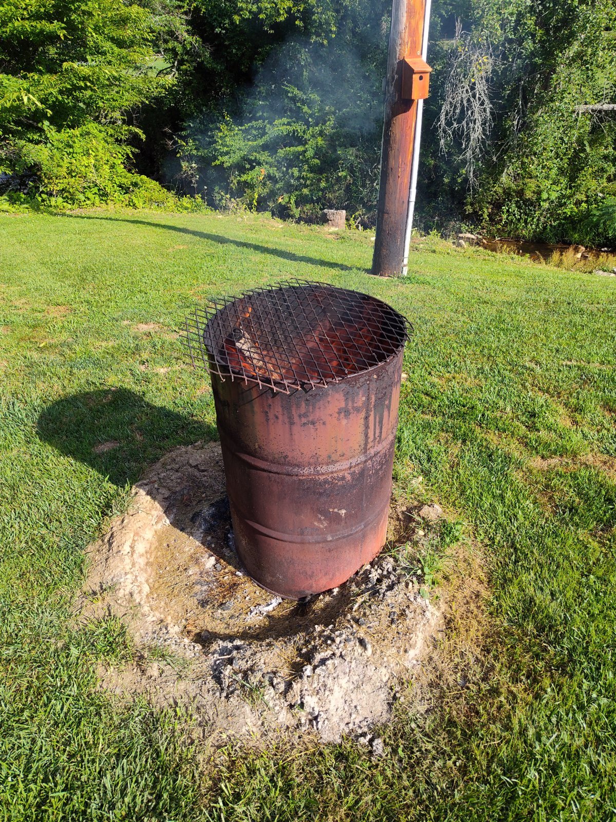 IMG_20240620_085209556_HDR.jpg