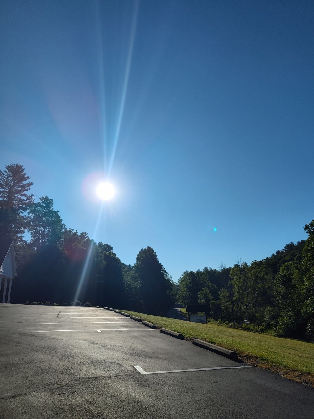 IMG_20240625_080851215_HDR.jpg