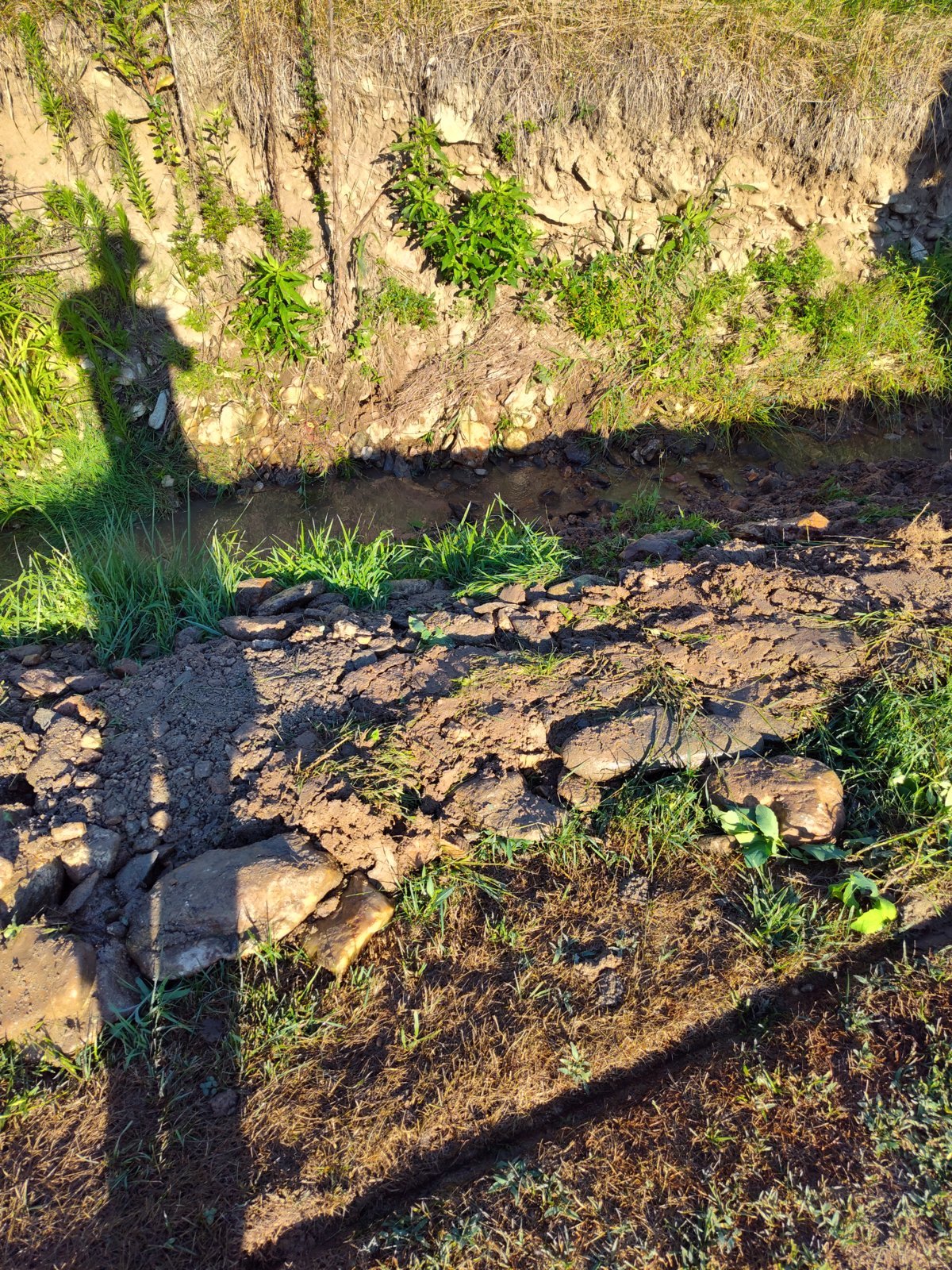 IMG_20240712_083404586_HDR.jpg