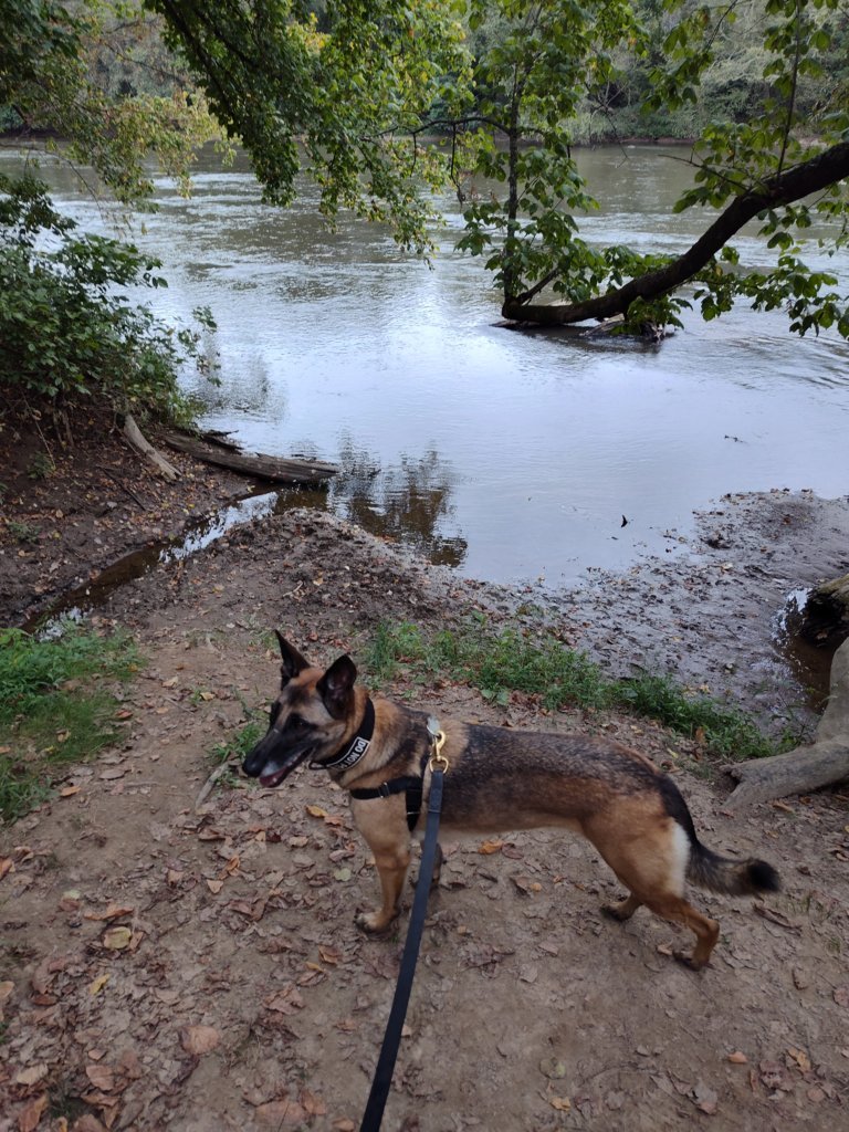 IMG_20240905_094533512_HDR.jpg