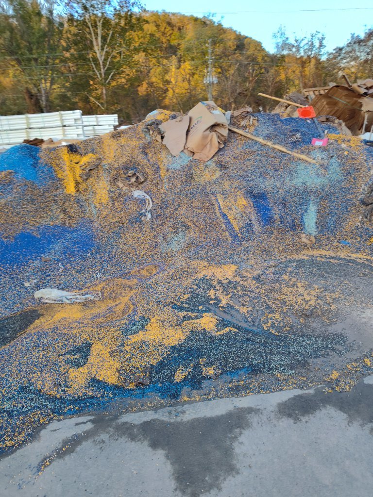 IMG_20241014_080046164_HDR.jpg