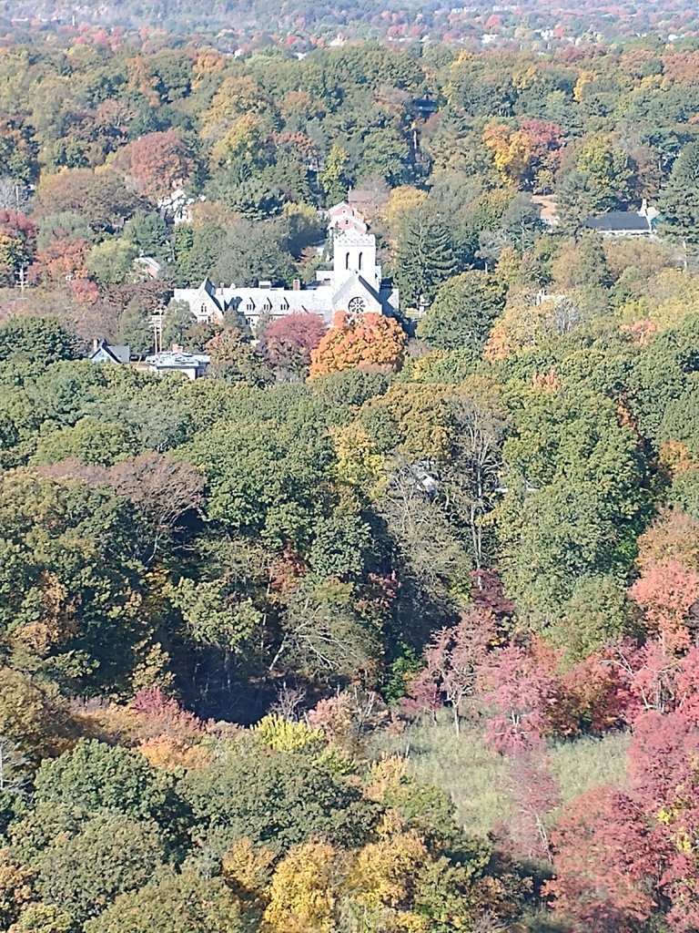 IMG_20241020_111019016.jpg