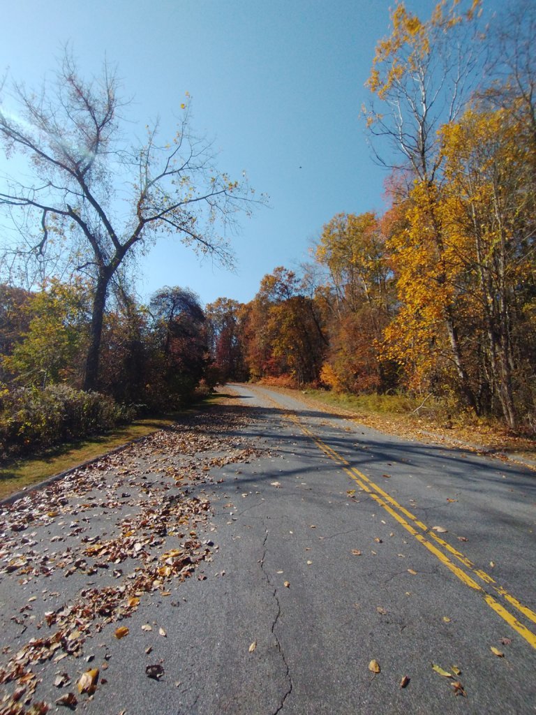IMG_20241024_113740911.jpg