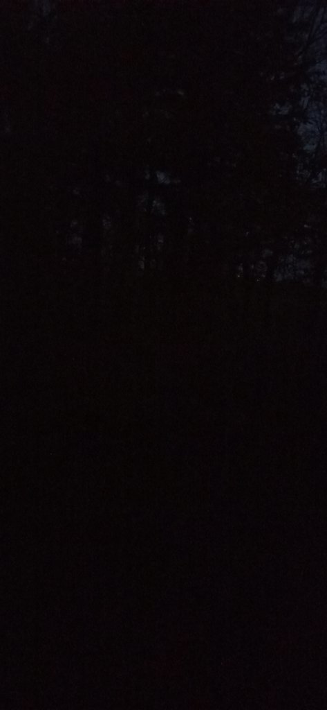 IMG_20241030_071557.jpg
