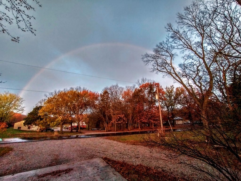 IMG_20241113_071740615_HDR~3.jpg