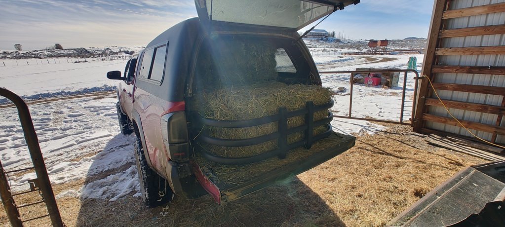 IMG_20241202_132952641_HDR.jpg