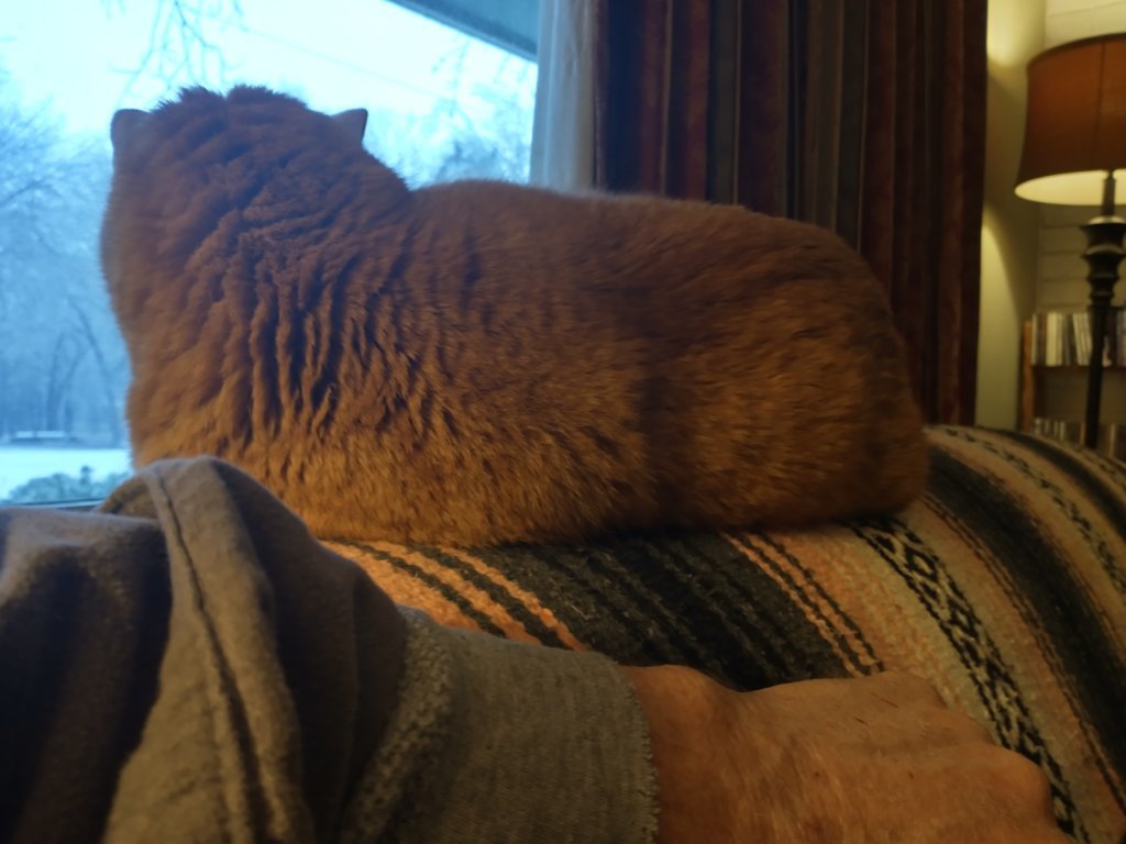 IMG_20250105_085409664_HDR.jpg