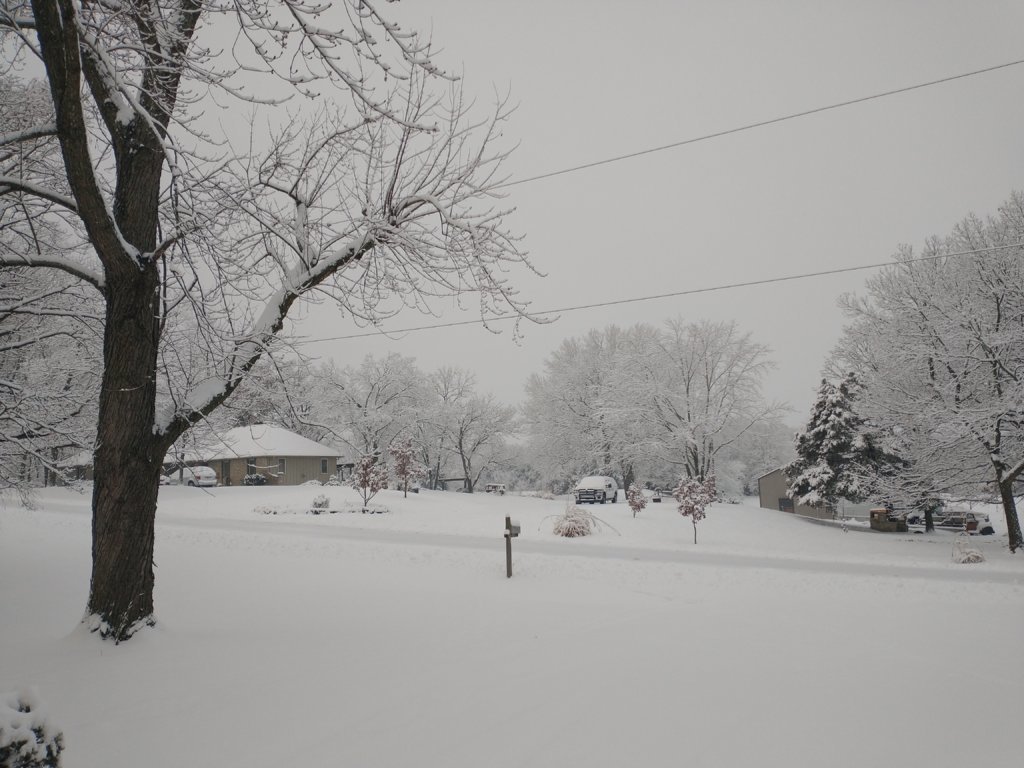 IMG_20250110_074611457.jpg