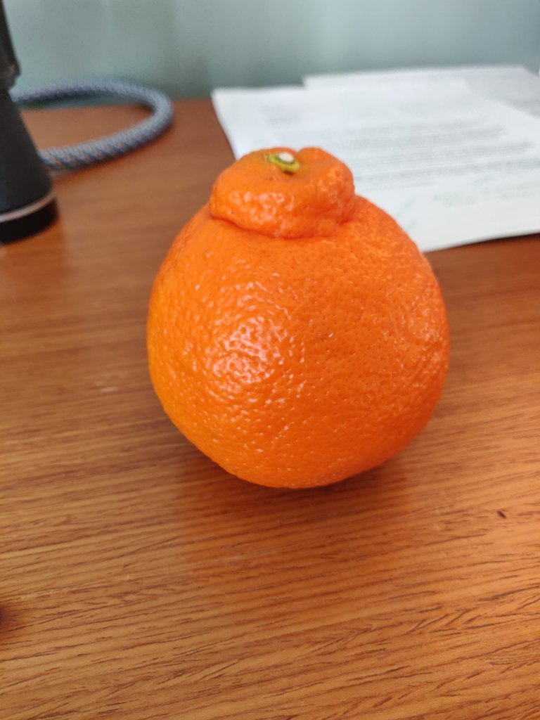 IMG_20250207_160128.jpg