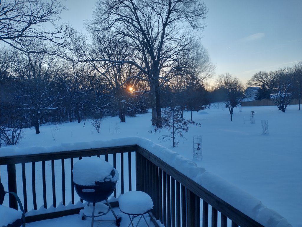 IMG_20250220_071946738_HDR.jpg
