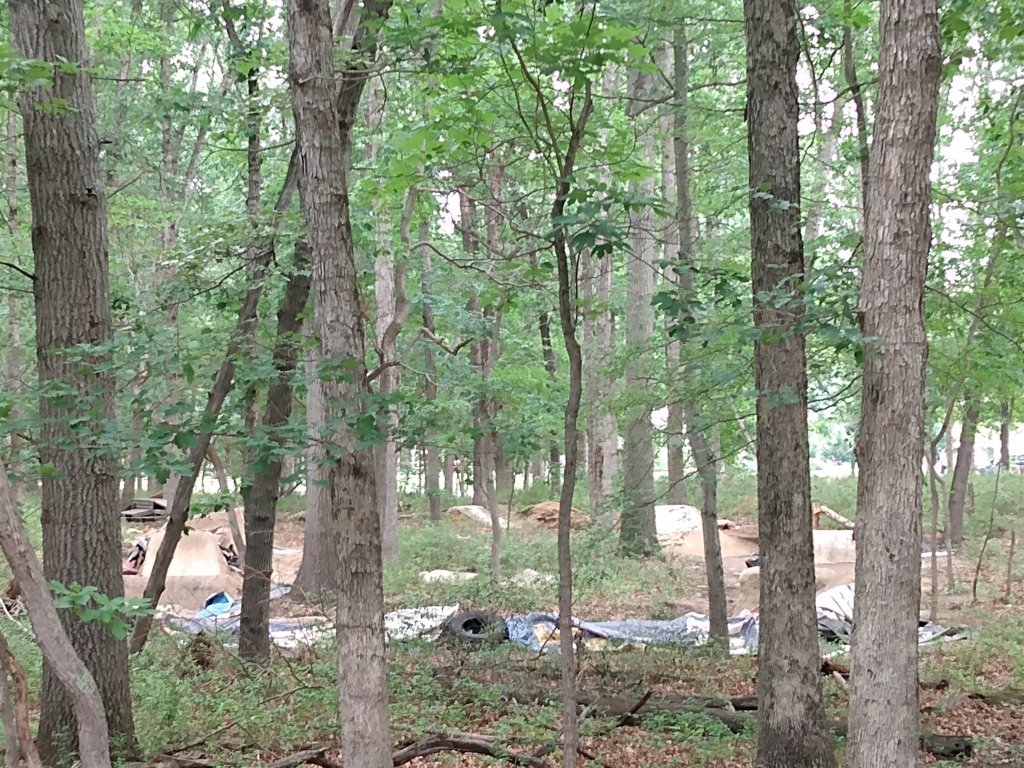 IMG_20250622_140740712.jpg