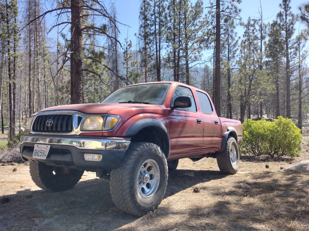 IMG_20250628_161525336_HDR.jpg