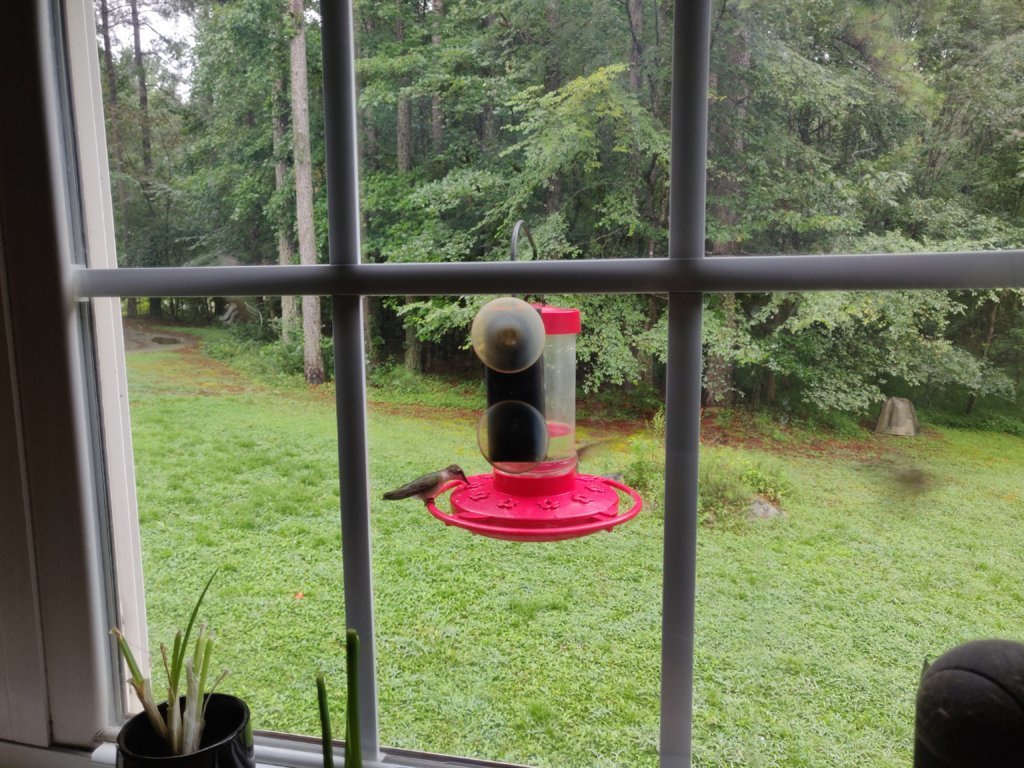 IMG_20250802_092223.jpg