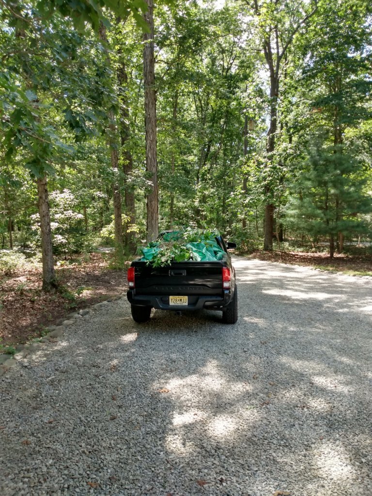 IMG_20250809_141026536_HDR.jpg