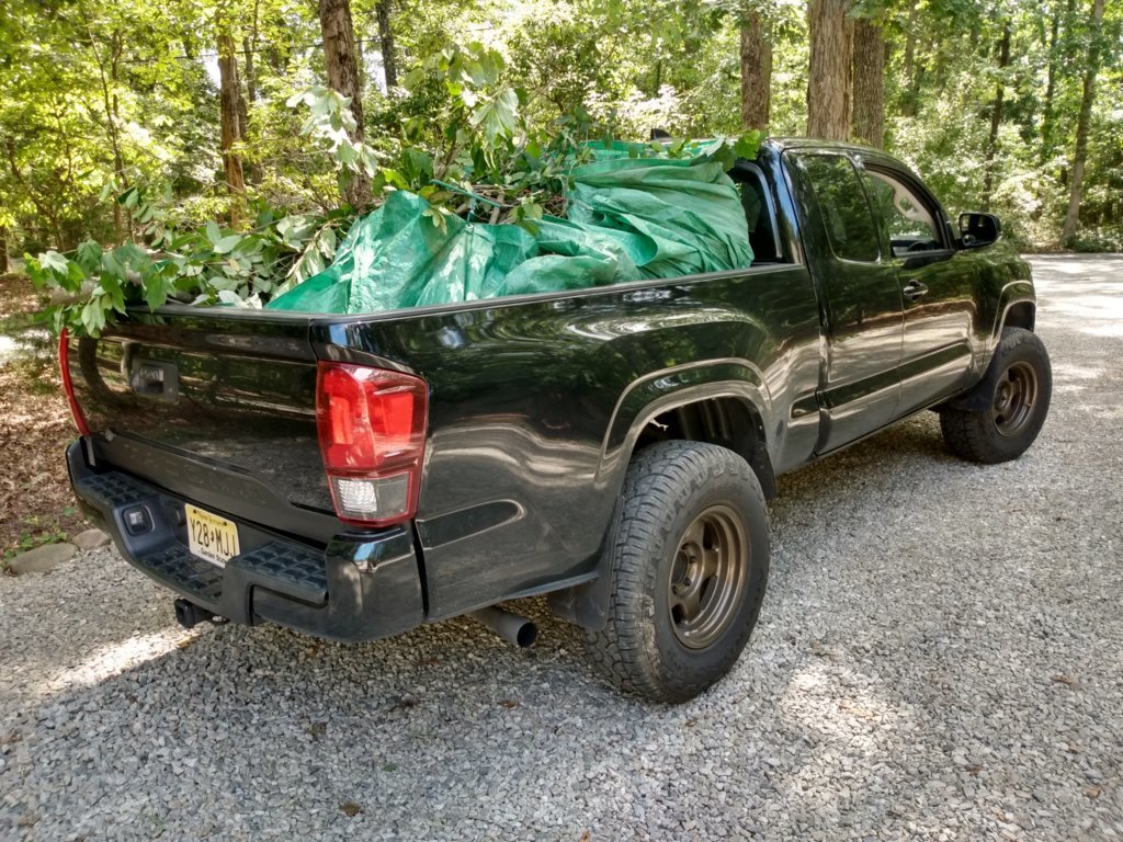 IMG_20250809_141041190_HDR.jpg