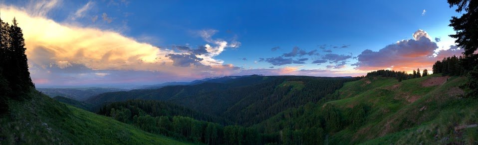 IMG_2044.jpg