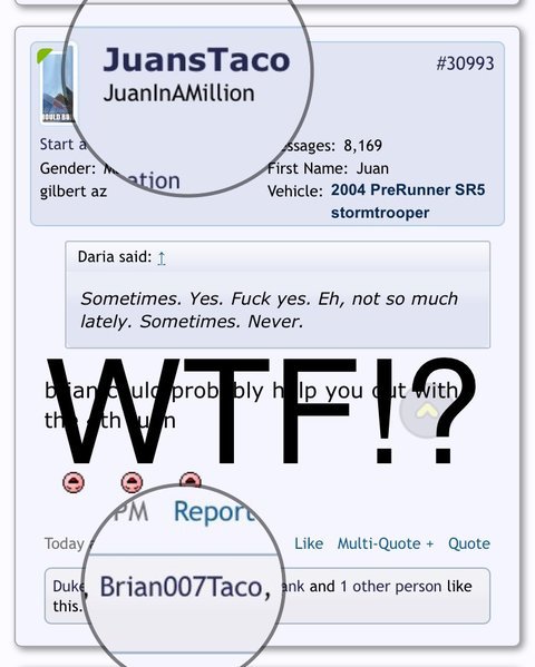 IMG_2054.PNG.jpg