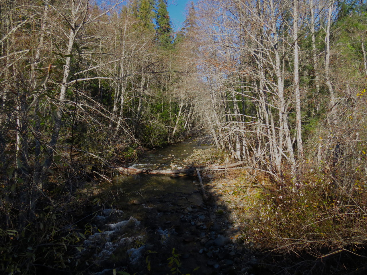 IMG_2074.jpg
