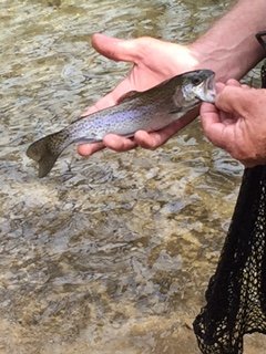 IMG_2143.jpg