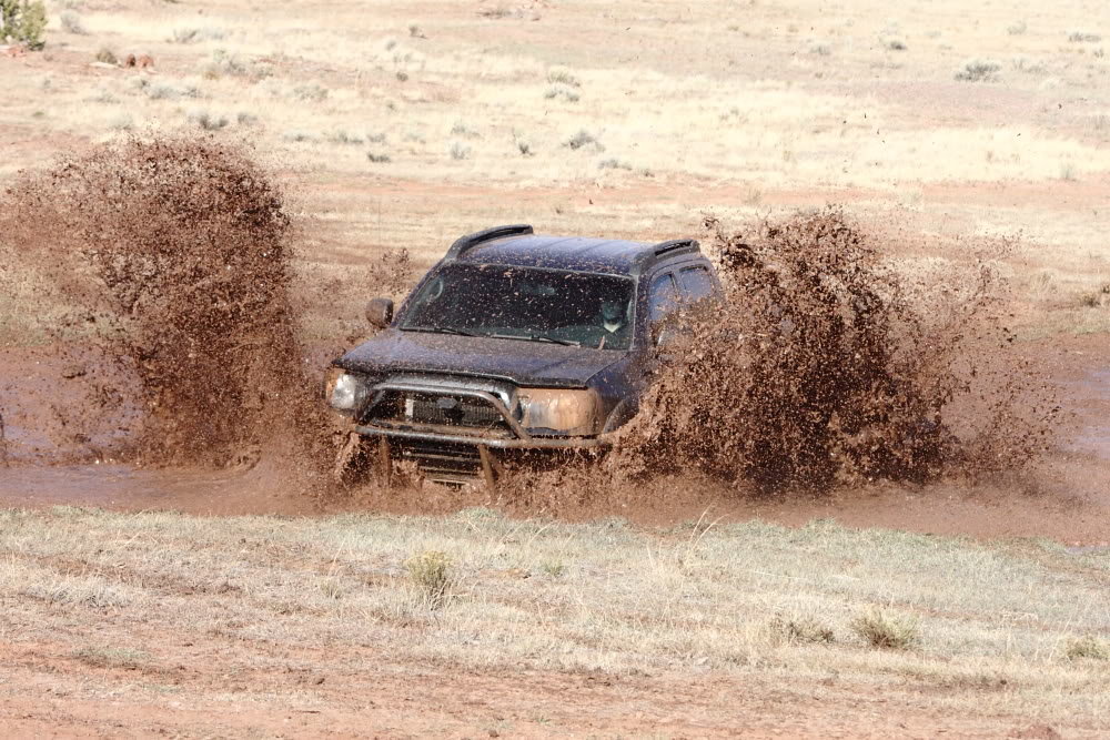 IMG_2145FW_c4d535b0f178c35c4dd0fec0d409064e193ad418.jpg