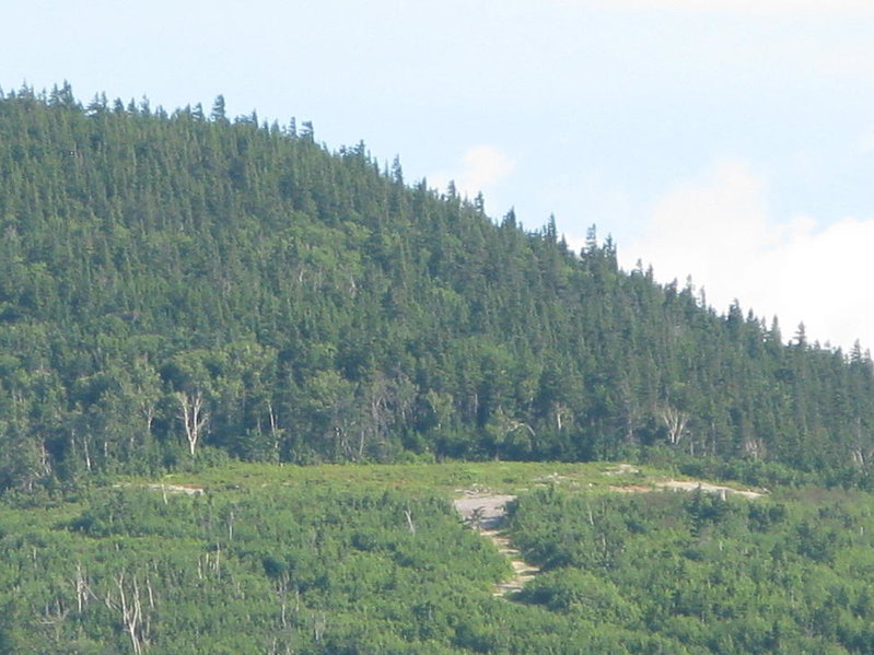 IMG_2182.jpg