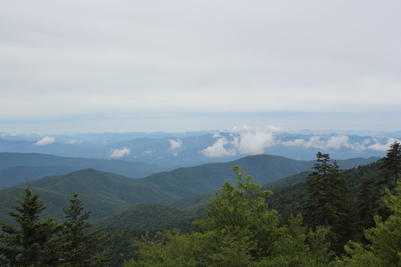 IMG_2255.jpg
