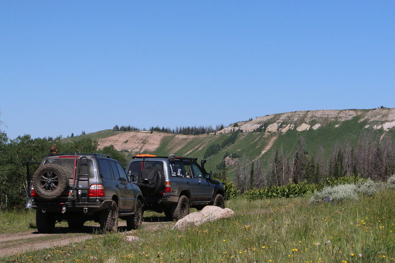 IMG_2264_zpsmregbfib_e1cdbc50a185f944043121bf6125d9ca13897c3e.jpg