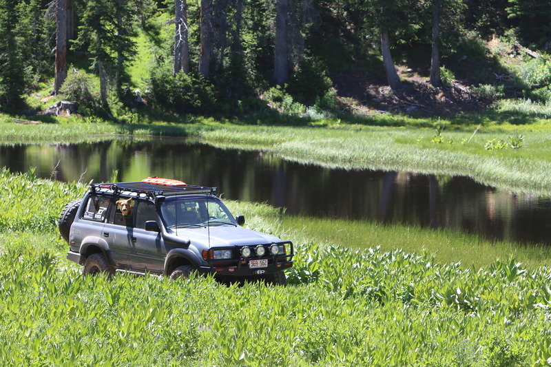 IMG_2285_zpsipg0aj5r_359cda767b8c2c5b13f777ea1eca4da221271724.jpg