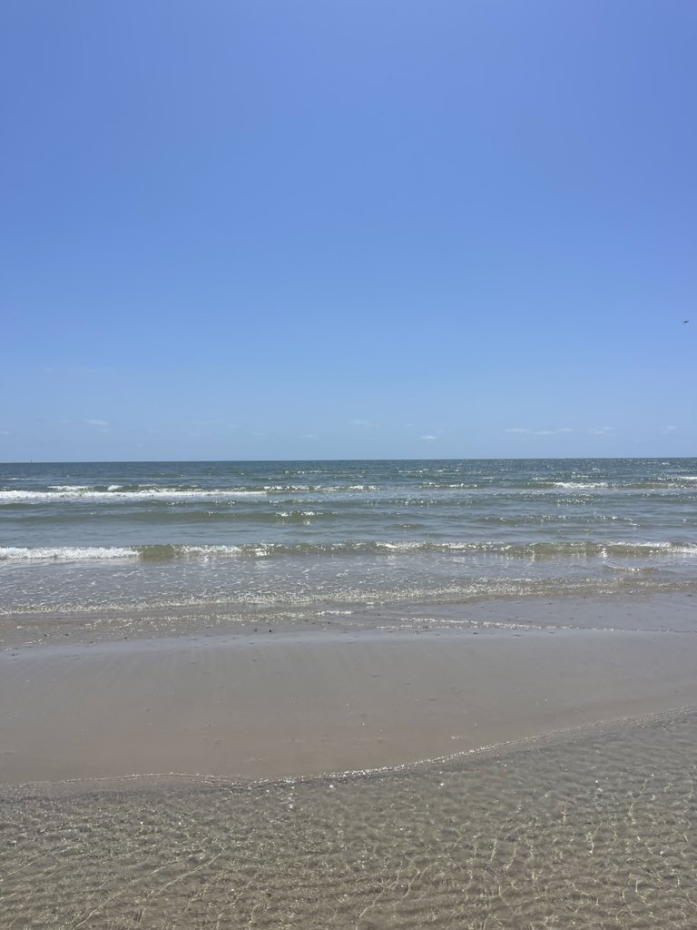 IMG_2286.jpg