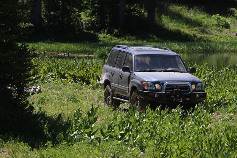 IMG_2286_zpsbq94pdg2_e1214a54eda2689488ef3ffc203ed982a100175c.jpg