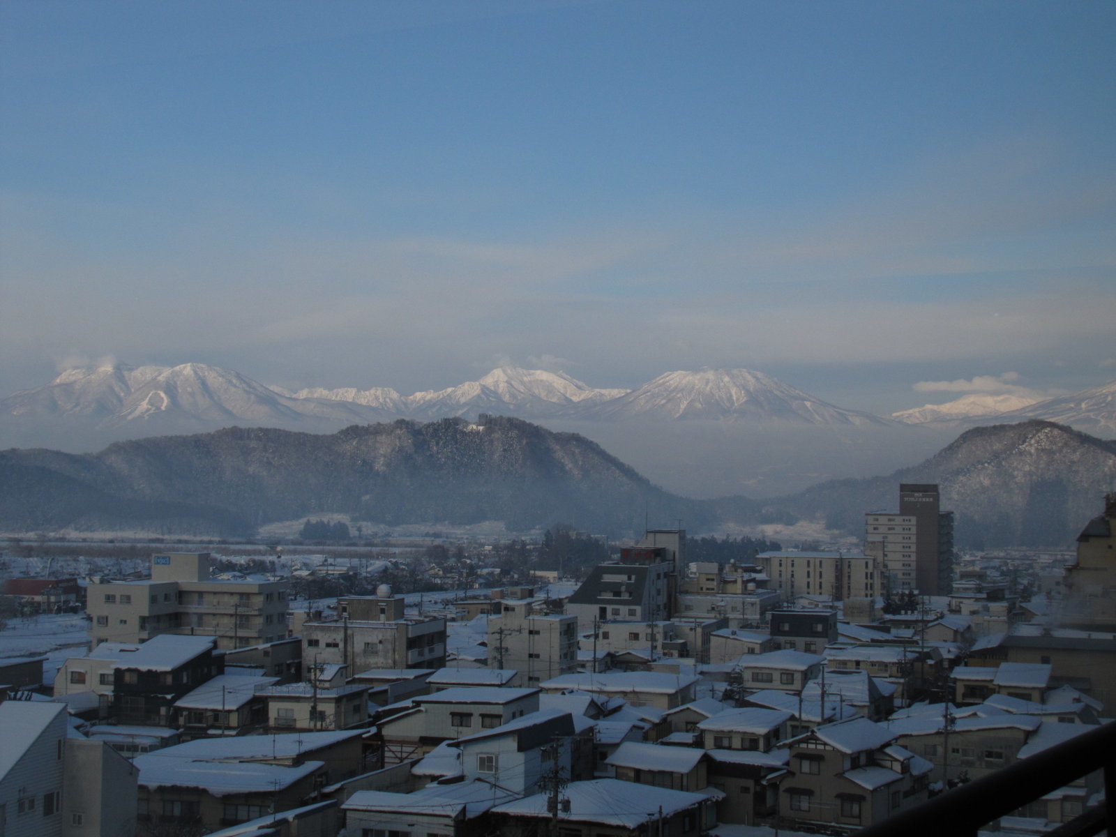 IMG_2292.jpg